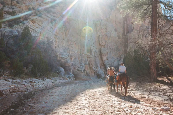 Horse Tour Slot Canyon Grand Staircase Escalante National Park Utah — Stock Photo, Image