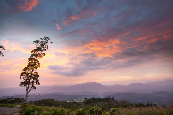 Krásná Zelená Přírodní Krajina Šrí Lance — Stock fotografie