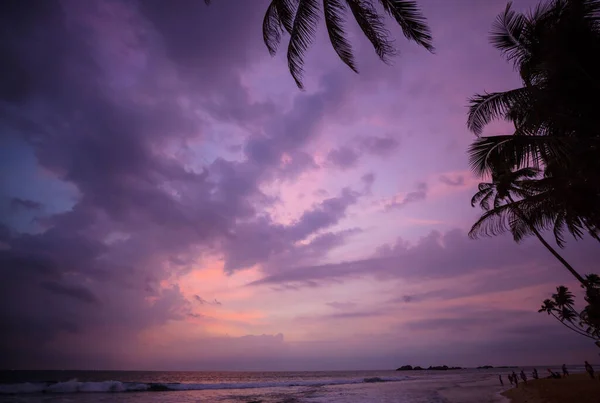 Fantástico Pôr Sol Tropical Praia Oceânica — Fotografia de Stock