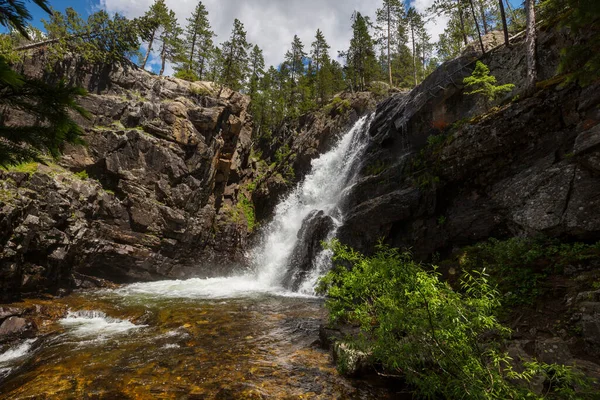 Waterfall Forest Oregon — Foto Stock