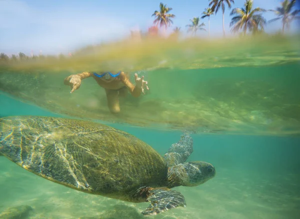 Niño Nadando Con Una Tortuga Marina Gigante Océano Sri Lanka — Foto de Stock