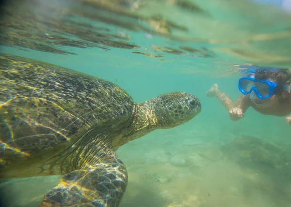 Garçon Nageant Avec Une Tortue Mer Géante Dans Océan Sri — Photo