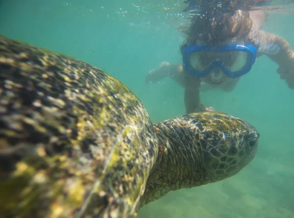 Jongen Zwemmen Met Een Reusachtige Zeeschildpad Oceaan Sri Lanka — Stockfoto