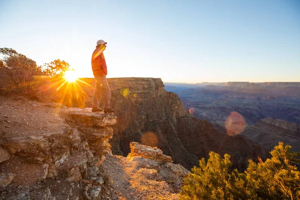 Мандрівник Скелястих Горах Над Національним Парком Гранд Каньйон Штат Арізона — стокове фото