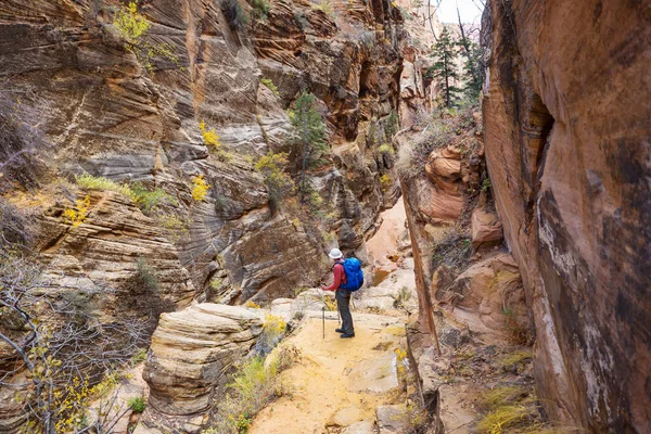 Caminhada Nas Montanhas Utah Caminhadas Paisagens Naturais Incomuns Formas Fantásticas — Fotografia de Stock