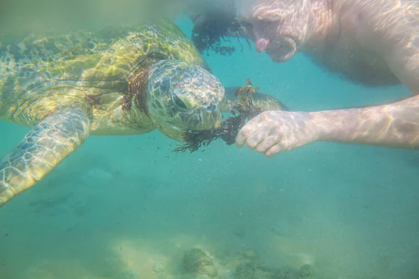 Pojke Som Simmar Med Gigantisk Havssköldpadda Havet Sri Lanka — Stockfoto