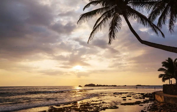 Fantastisk Tropisk Solnedgång Havet Stranden — Stockfoto