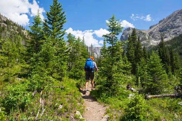 Backpacker Wędrówce Wysokich Górach — Zdjęcie stockowe