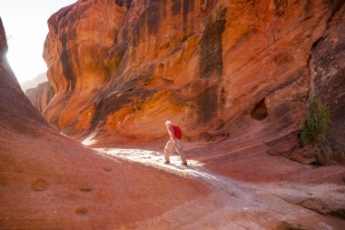 Utah dağlarında yürüyüş. Alışılmadık doğal manzaralarda yürüyüş. Fantastik kumtaşı oluşumları.