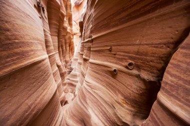 Utah, ABD 'deki Grand Staircase Escalante Ulusal Parkı' ndaki Slot Kanyonu. Utah çöllerinde alışılmadık renkli kumtaşı oluşumları yürüyüşçüler için popülerdir..