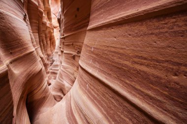 Utah, ABD 'deki Grand Staircase Escalante Ulusal Parkı' ndaki Slot Kanyonu. Utah çöllerinde alışılmadık renkli kumtaşı oluşumları yürüyüşçüler için popülerdir..