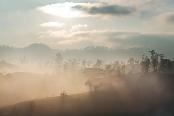 Prachtige Natuurlandschappen Sri Lanka Bij Zonsondergang — Stockfoto