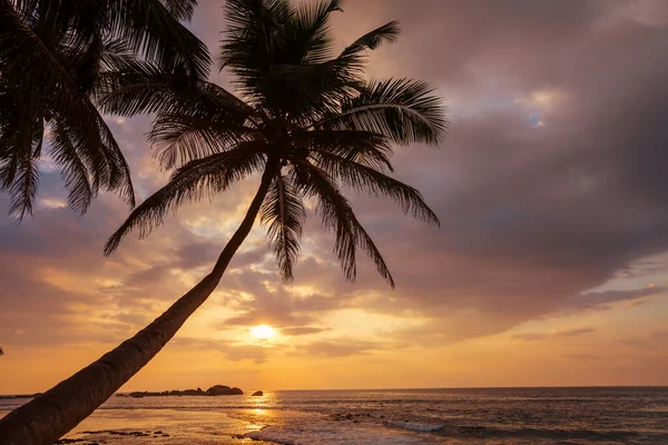 Hermosos Paisajes Verano Playa Tropical Fondo Vacaciones — Foto de Stock