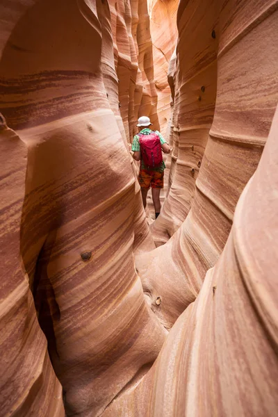 Slot Canyon Grand Staircase Escalante National Park Utah Usa Ovanliga — Stockfoto