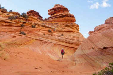 The Wave, Arizona, Vermillion Cliffs, Paria Canyon State Park, ABD. İnanılmaz doğal bir geçmiş.