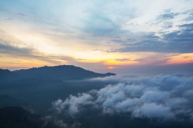 Sri Lanka dağlarında güzel yeşil doğal manzaralar