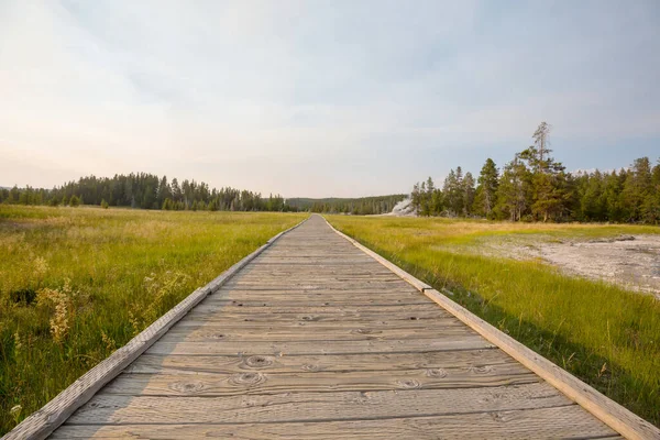 Pasarelas Madera Las Áreas Geotérmicas Del Parque Nacional Yellowstone Wyoming — Foto de Stock