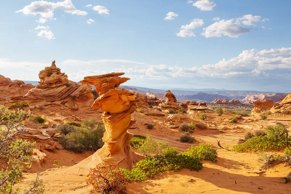美国犹他州的砂岩地层 美丽异乎寻常的风景 — 图库照片