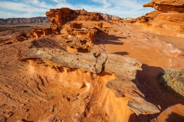 Çöl manzaraları Nevada devlet, ABD
