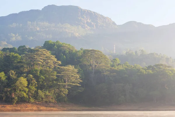 Schöne Grüne Naturlandschaften Den Bergen Sri Lankas — Stockfoto