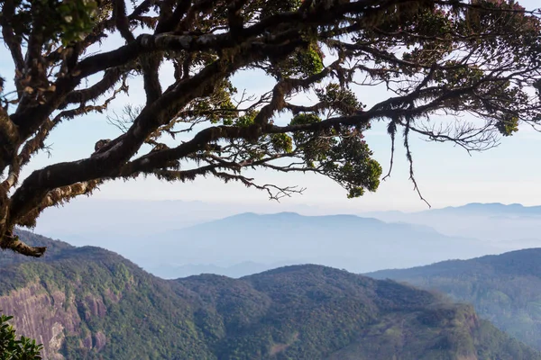 Hermosos Paisajes Naturales Verdes Sri Lanka Montañas — Foto de Stock