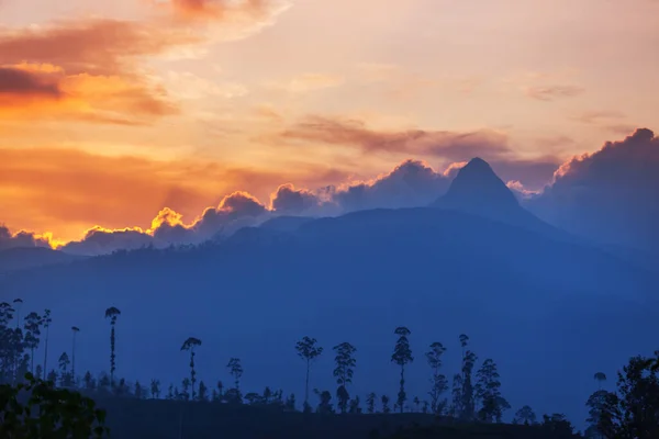 Прекрасні Зелені Природні Краєвиди Горах Шрі Ланки — стокове фото