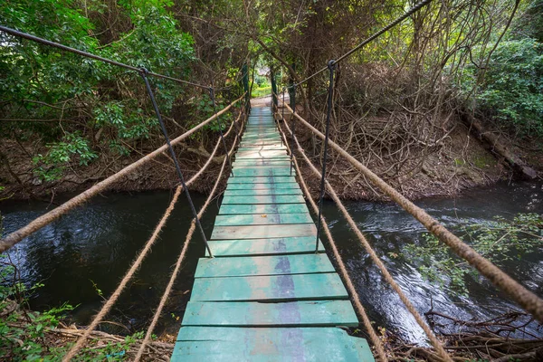 Suspenzion Bridge Tropical Jungle Sri Lanka — Fotografia de Stock
