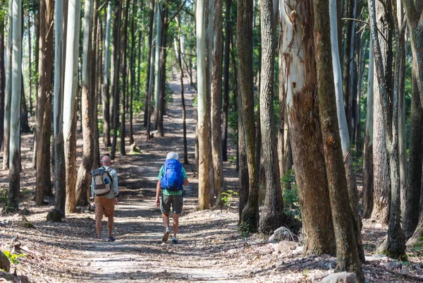 Man Hiking Bay Trail Forest Nature Leisure Hike Travel Outdoor — Stock Photo, Image