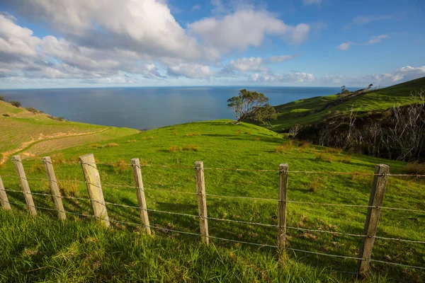 Krásná Venkovská Krajina Nového Zélandu Při Východu Slunce — Stock fotografie