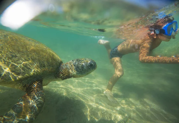 Boy Swimming Giant Sea Turtle Ocean Sri Lanka — Foto de Stock