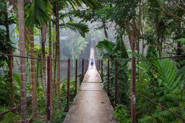 Ormanda asma köprü, Sri Lanka