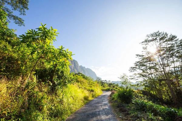 Tuk Tuk Dirigindo Uma Estrada Entre Árvores Verdes Floresta Sri — Fotografia de Stock