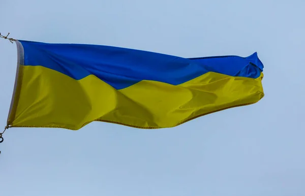 Ukrainian Flag Blue Background Modern Symbol Courage Freedom — Stockfoto