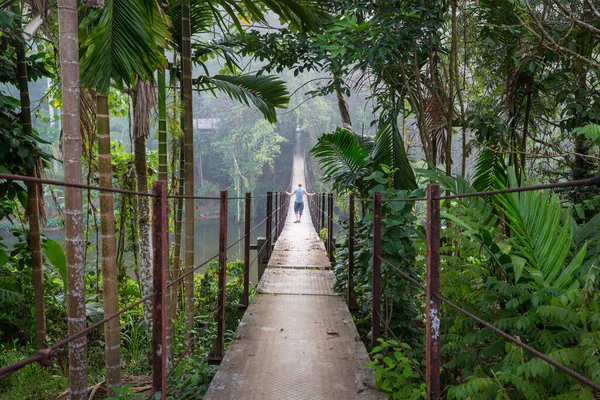 Ormanda asma köprü, Sri Lanka