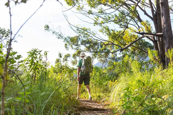 Mann Bei Wanderung Auf Tropeninsel — Stockfoto