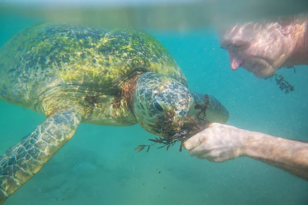 Garçon Nageant Avec Une Tortue Mer Géante Dans Océan Sri — Photo