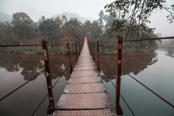 Suspension Bridge Jungle Sri Lanka — Stock Photo, Image