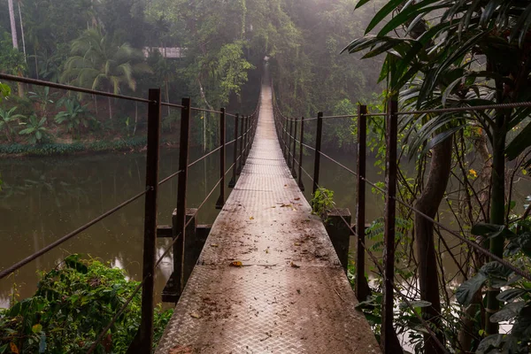 斯里兰卡丛林中悬索桥 — 图库照片