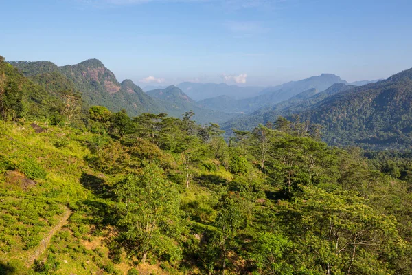 Krásná Zelená Přírodní Krajina Šrí Lance — Stock fotografie