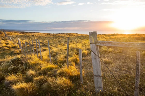 Закат Трава Забор Южноафриканской Пампе Чили — стоковое фото