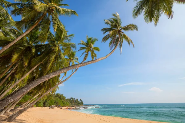 Beautiful Summer Landscapes Tropical Beach Vacation Background — 스톡 사진