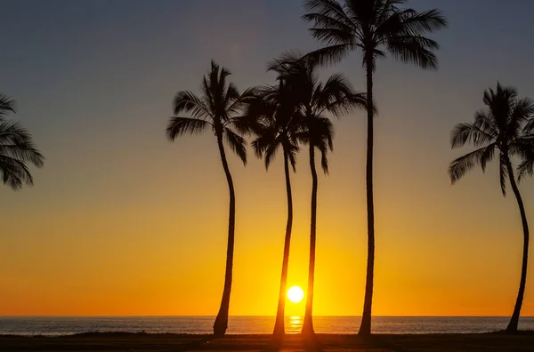 Bellissimi Paesaggi Estivi Sulla Spiaggia Tropicale Sfondo Vacanza — Foto Stock