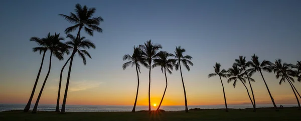 Krásné Letní Krajiny Tropické Pláži Pozadí Dovolené — Stock fotografie