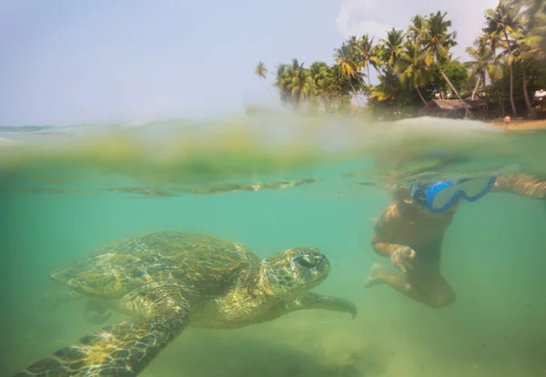 Menino Nadando Com Uma Tartaruga Marinha Gigante Oceano Sri Lanka — Fotografia de Stock