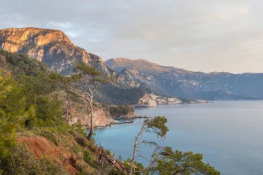 Türkiye 'de güzel deniz kıyıları
