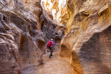Utah, ABD 'deki Grand Staircase Escalante Ulusal Parkı' ndaki Slot Kanyonu. Utah çöllerinde alışılmadık renkli kumtaşı oluşumları yürüyüşçüler için popülerdir..