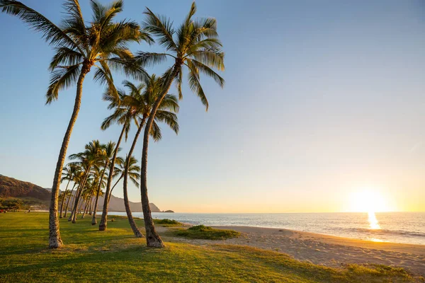 Lindas Paisagens Verão Praia Tropical Fundo Férias — Fotografia de Stock