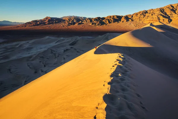 Caminhante Deserto Areia Hora Nascer Sol — Fotografia de Stock