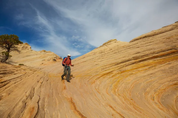 Utah dağlarında yürüyüş. Alışılmadık doğal manzaralarda yürüyüş. Fantastik kumtaşı oluşumları.