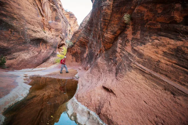 Slot Canyon Nel Grand Staircase Escalante National Park Utah Usa — Foto Stock